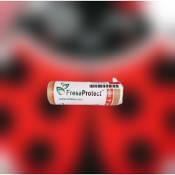 MIXcontrol 240 - F (Fresaprotect), parasitoides contra pulgón en fresa