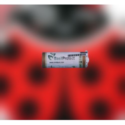 MIXcontrol 240 - A (Basilprotect), parasitoides contra pulgón en albahaca
