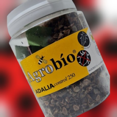 ADALIAcontrol 250 larvas –...