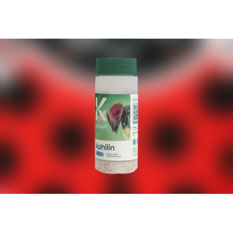 Aphilin 500 – Aphelinus...