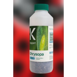 Chrysopa 1000 – Larvas de crisopa verde contra pulgones