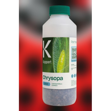 Chrysopa 1000 – Larvas de...