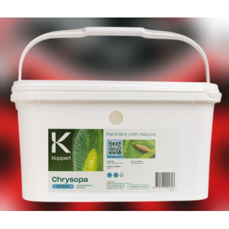 Chrysopa 10000 – 10.000...