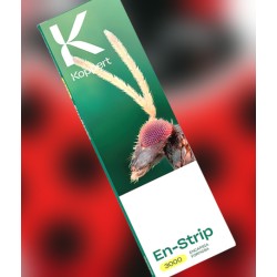 En-Strip 3000 – Encarsia formosa para mosca blanca ecológica