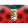 Mirical 500 – Macrolophus pygmaeus para control de plagas