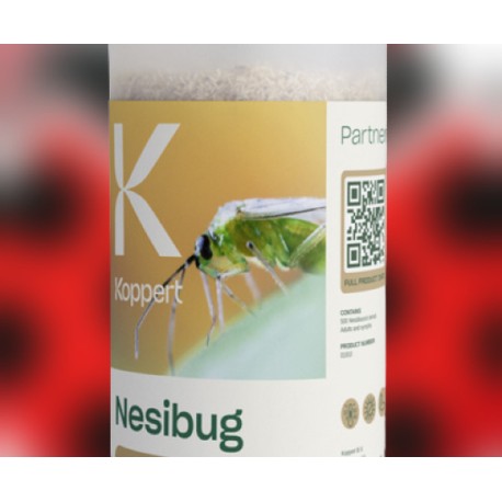 Nesibug 1000 – Nesidiocoris tenuis para tomate y hortícolas