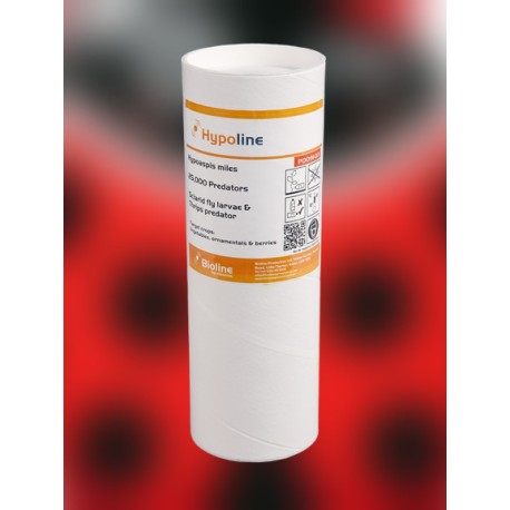 Hypoaspis miles 25000 ind. control biológico de plagas del suelo