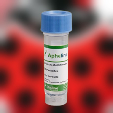 Aphelinus abdominalis 250 –...