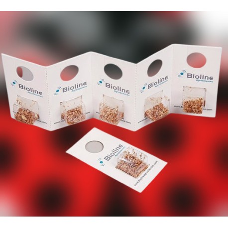 APHIDIUS COLEMANI 1000 ind. BLISTER (10X100)- Aphiline (contra pulgones)