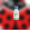 Aphidius ervi 250 – Parasitoide eficaz contra pulgones grandes