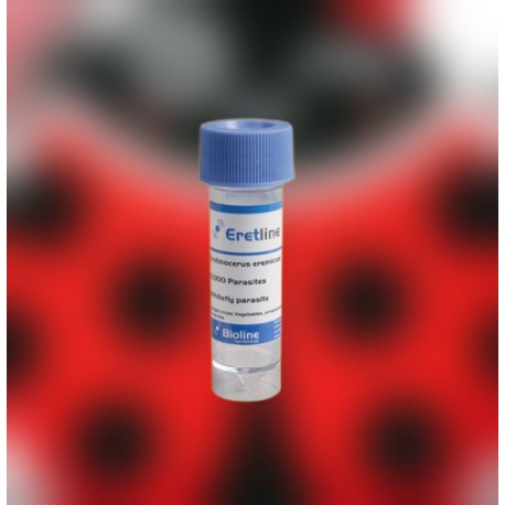 Eretmocerus eremicus 5000 ind. Blister - Control biológico mosca blanca
