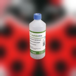 Aphidoletes aphidimyza 1000 en bote – Control eficaz de pulgón