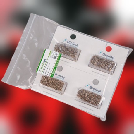 Aphidoletes aphidimyza 1000 ind. Blister APHIDOLINE control pulgón eficaz