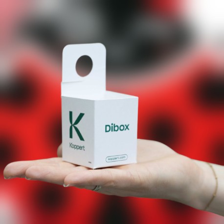 Dibox, pack 400 cajas para...