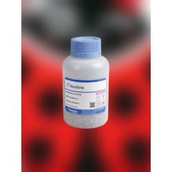 Nesidiocoris tenuis 500 –...