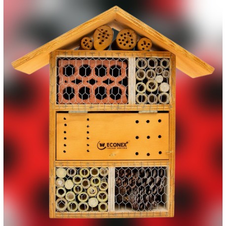 Refugio para insectos – Hibernación, cría y biodiversidad