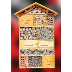 Refugio gigante insectos –...
