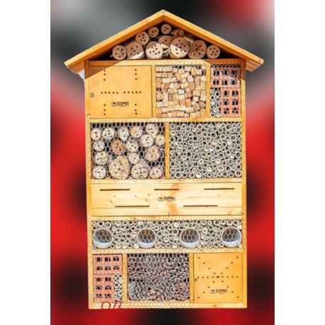 Refugio gigante insectos –...
