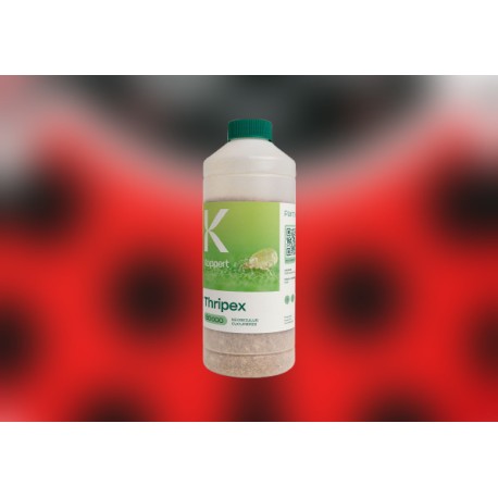 Thripex 50000 (control de thrips) ácaros depredadores efectivos