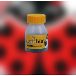 MATRIcontrol 500 momias Aphidius matricariae control ecológico de pulgones