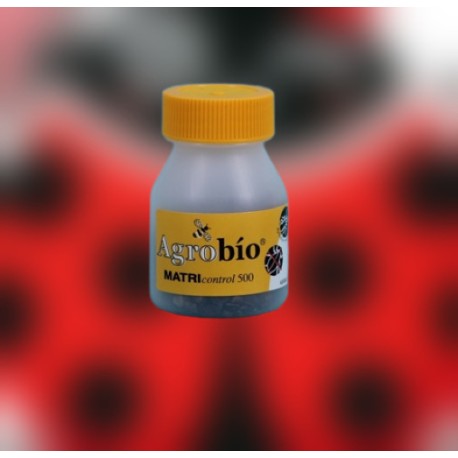 MATRIcontrol 500 momias Aphidius matricariae control ecológico de pulgones