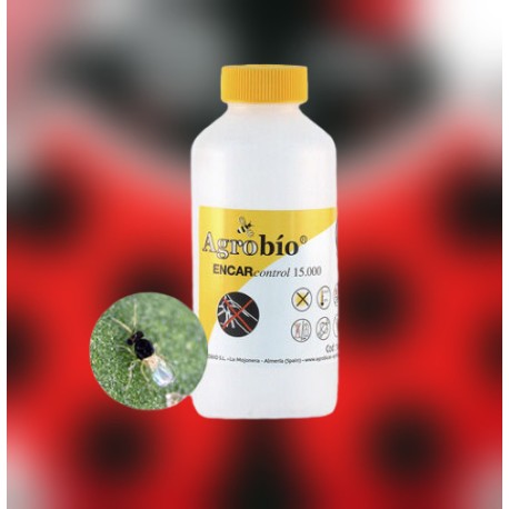 ENCARcontrol 15.000 pupas Encarsia formosa control eficaz mosca blanca