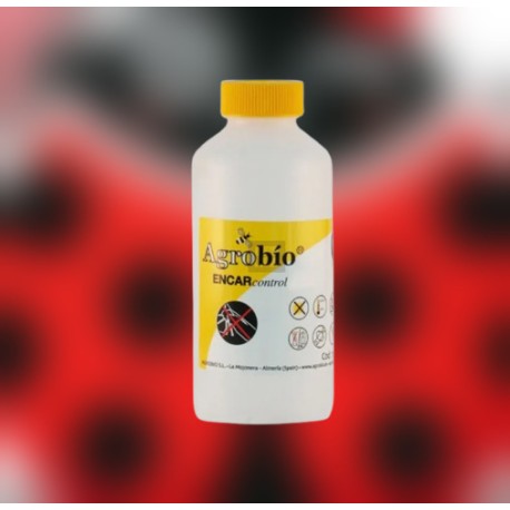 ENCARcontrol 5.000 pupas Encarsia formosa control natural mosca blanca