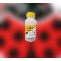 Aphidocontrol 1.000 Aphidoletes aphidimyza control natural del pulgón en cultivos