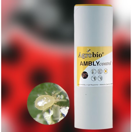 Amblycontrol 100.000 ácaros para control de trips en cultivos