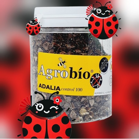 Adaliacontrol 100 adultos – Mariquitas adultas para control biológico de pulgones