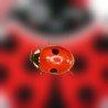 comprar mariquita adulta