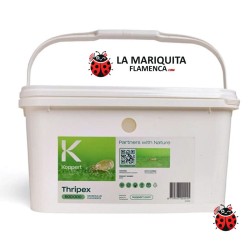 Thripex 500000 – Ácaros depredadores contra trips