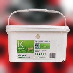 Thripex 500000 – Ácaros depredadores contra trips