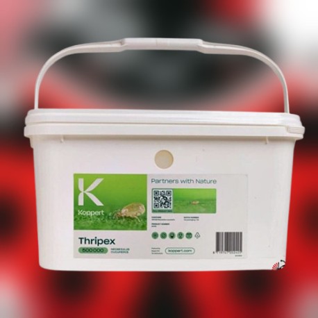 Thripex 500000 – Ácaros depredadores contra trips