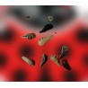 Aphidend 10.000 – Sírfidos para control biológico de pulgón