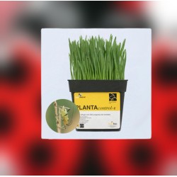 PLANTAcontrol-e 500