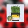 PLANTAcontrol-e 500
