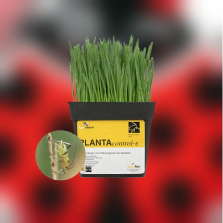 PLANTA control-e 500 PLANTA control-e 500