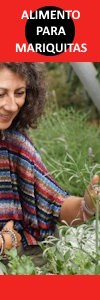 Alimento para Mariquitas